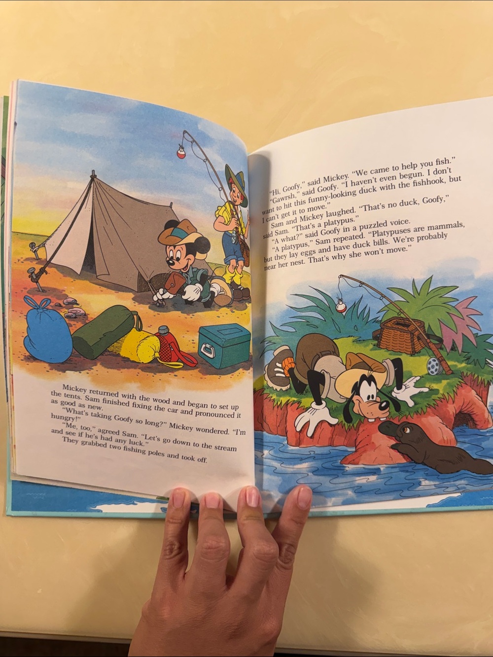 Disney Small World Library Book Set - Picture 5 of 7